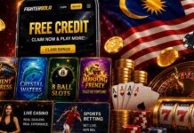 Understanding the Slot Options and Free Credit Offers at Fighter Bola