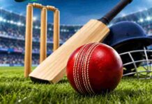 How Weather, Pitch Reports, and Toss Results Can Influence Cricket Exchange Markets in 2026